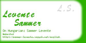 levente sammer business card